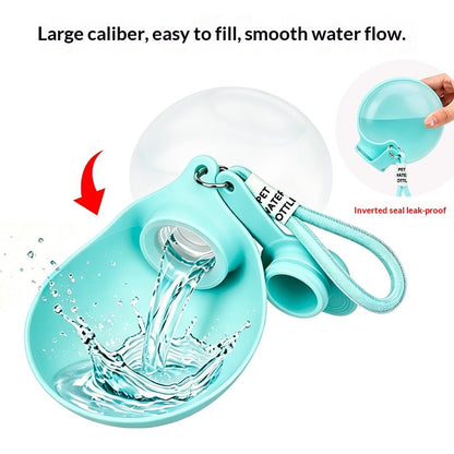 Pet Water Bottle