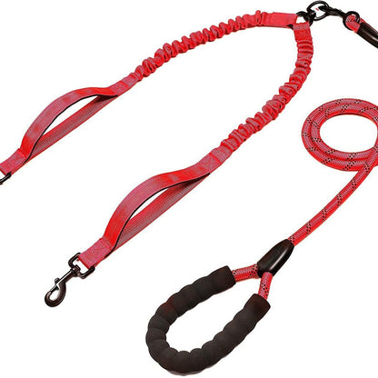 Pet Double Leash