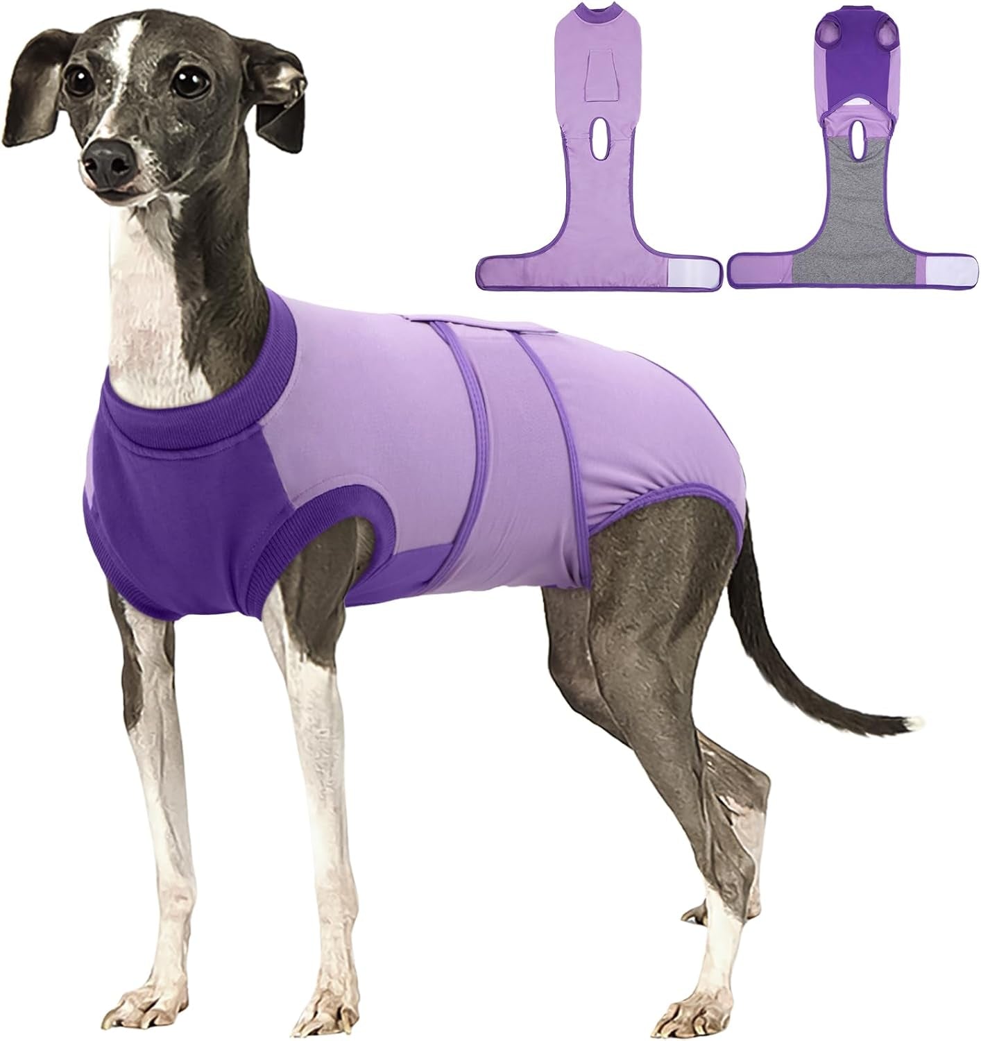 Female Dog Recovery Suit — Post-Spay & Surgery Coverage, Soft & Breathable (XS–2XL)