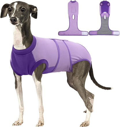 Female Dog Recovery Suit — Post-Spay & Surgery Coverage, Soft & Breathable (XS–2XL)