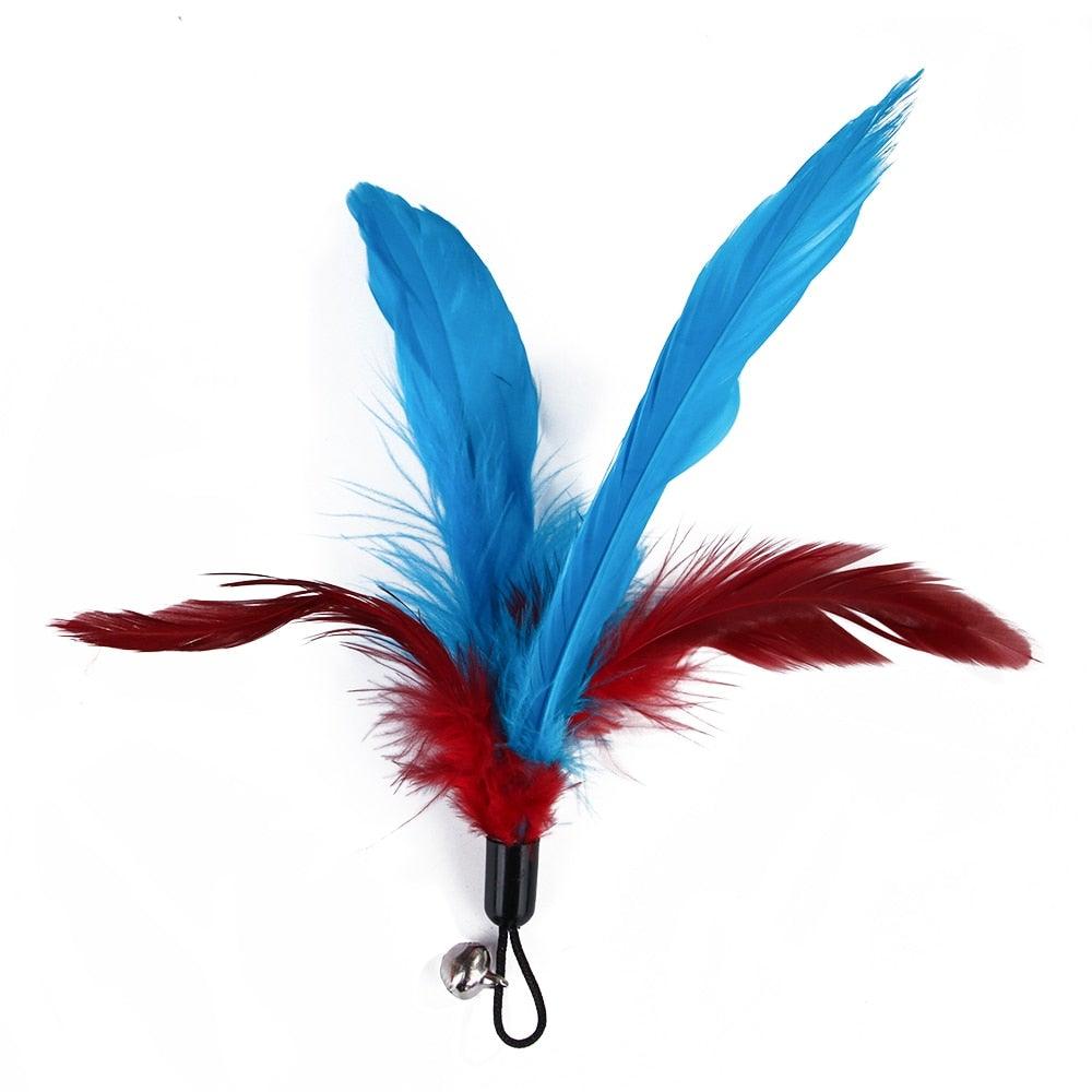 Feather Toy Set