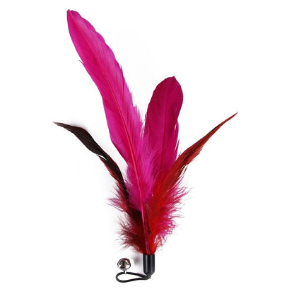 Feather Toy Set