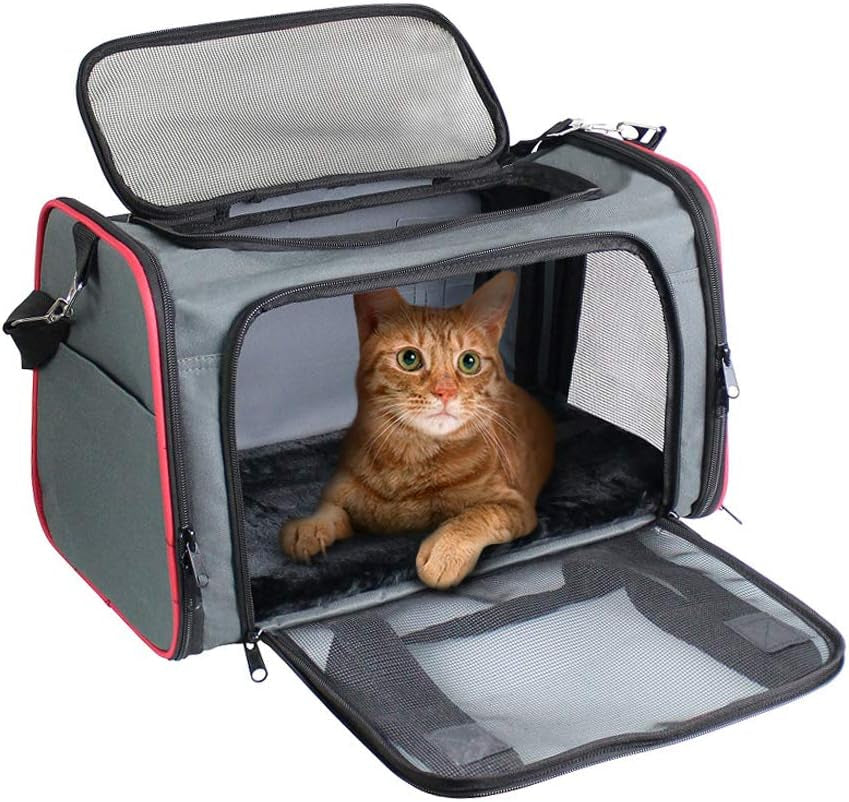 Soft-Sided Pet Carrier for Cats & Small Dogs — Breathable, Collapsible, Up to 22 lbs