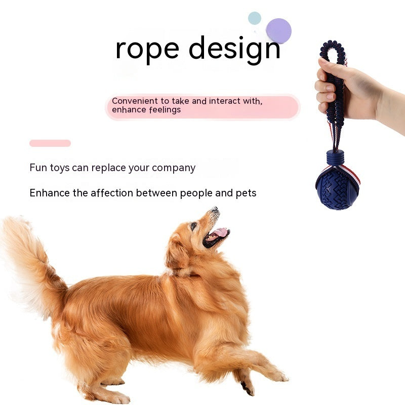 Interactive Dog Toy Ball