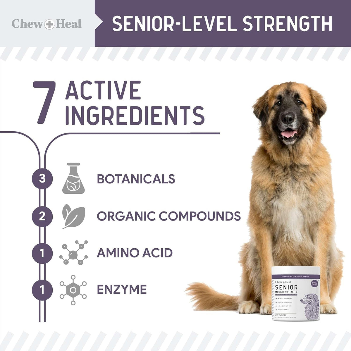 Senior Dog Joint Supplement