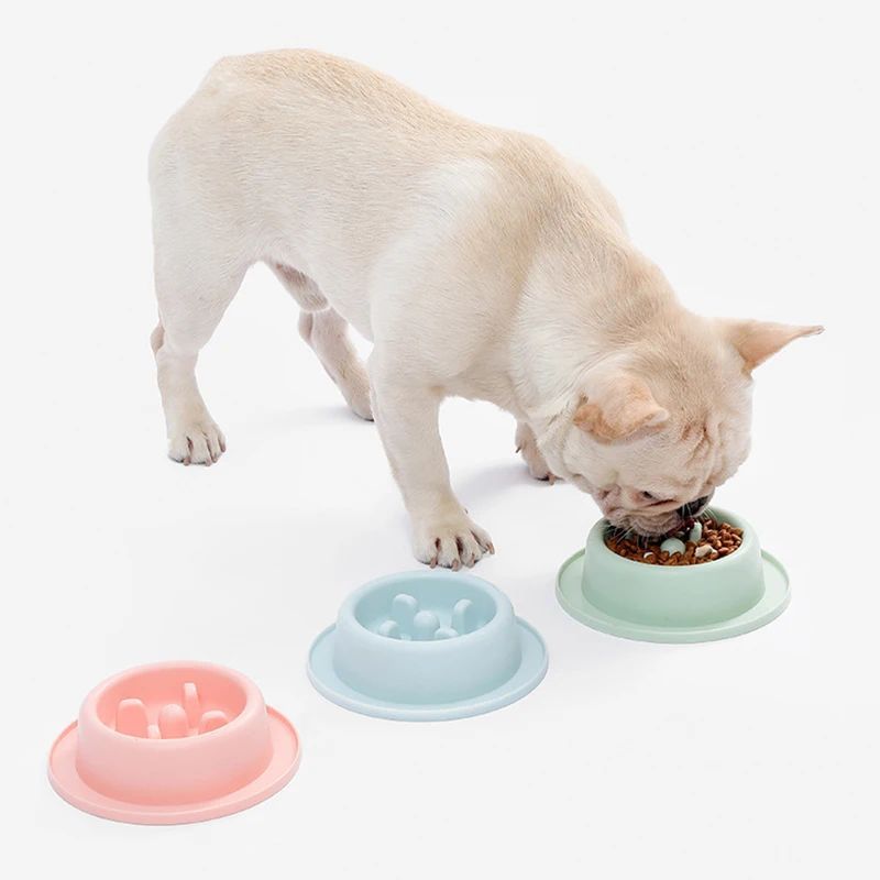 Pet Slow Eating Bowls