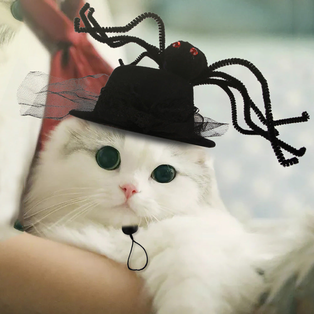 Funny Pet Costume