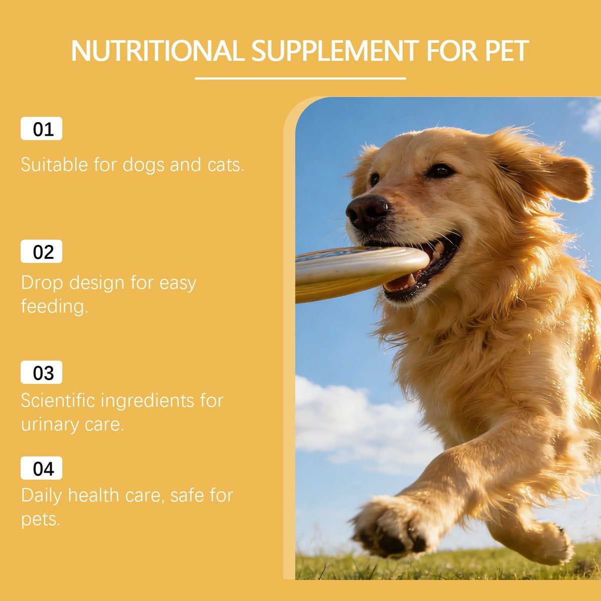 Dog And Cat Nutritional Supplements