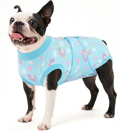 Dog Recovery Suit — Post-Surgery Coverage for Male & Female Dogs, Soft & Stretchy (XS–2XL)