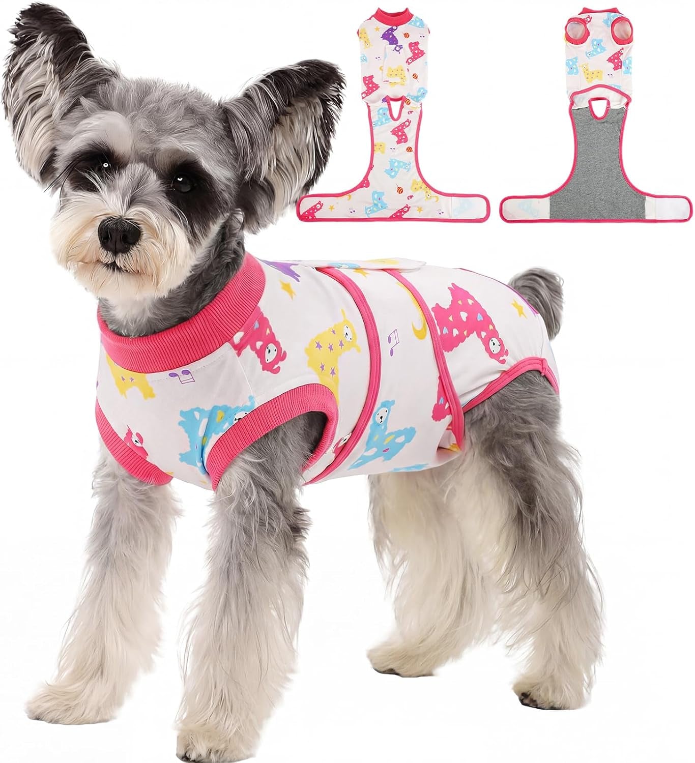 Female Dog Recovery Suit — Post-Spay & Surgery Coverage, Soft & Breathable (XS–2XL)