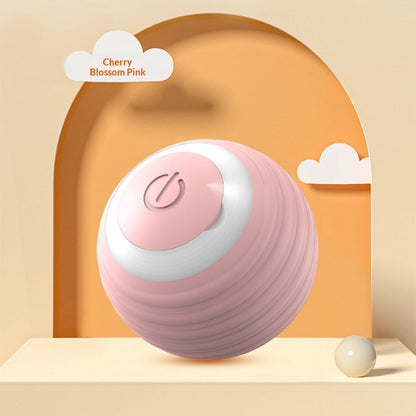 Cat Toy Ball