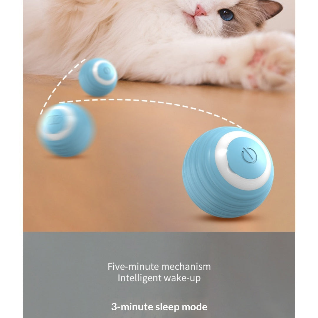 Cat Toy Ball