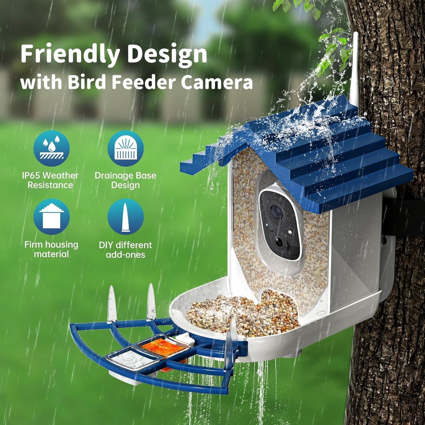 Bird Feeder Camera