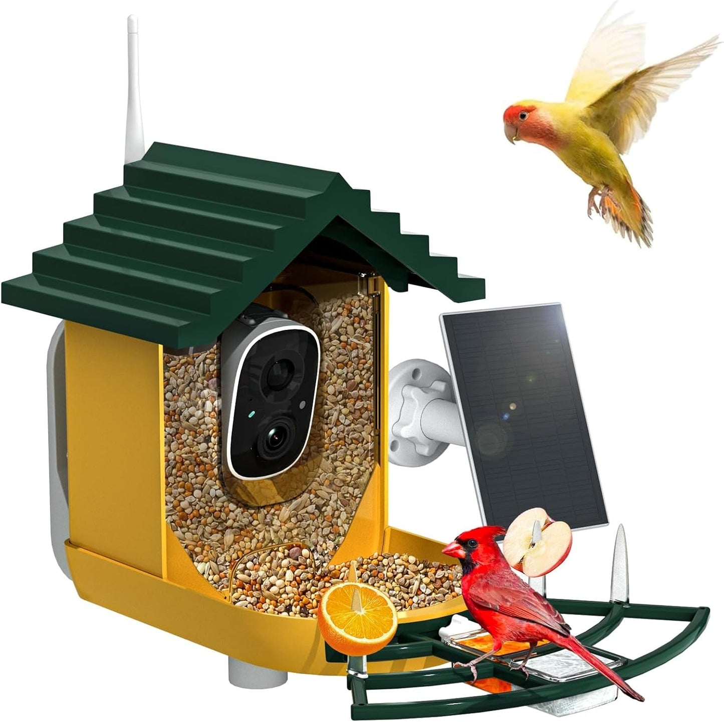 Bird Feeder Camera