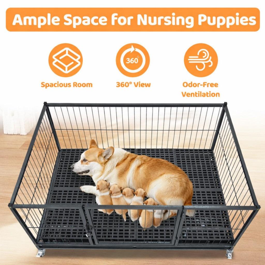 Puppy Whelping Box