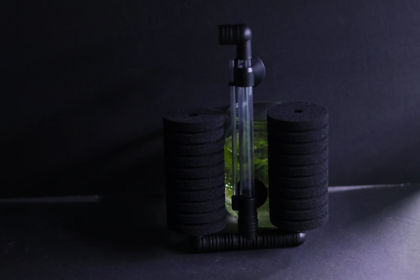 Dual Sponge Filter