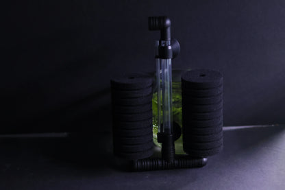 Dual Sponge Filter