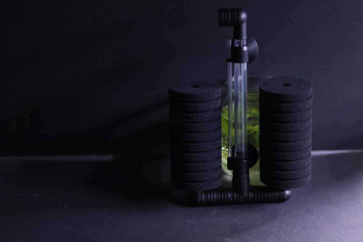 Dual Sponge Filter