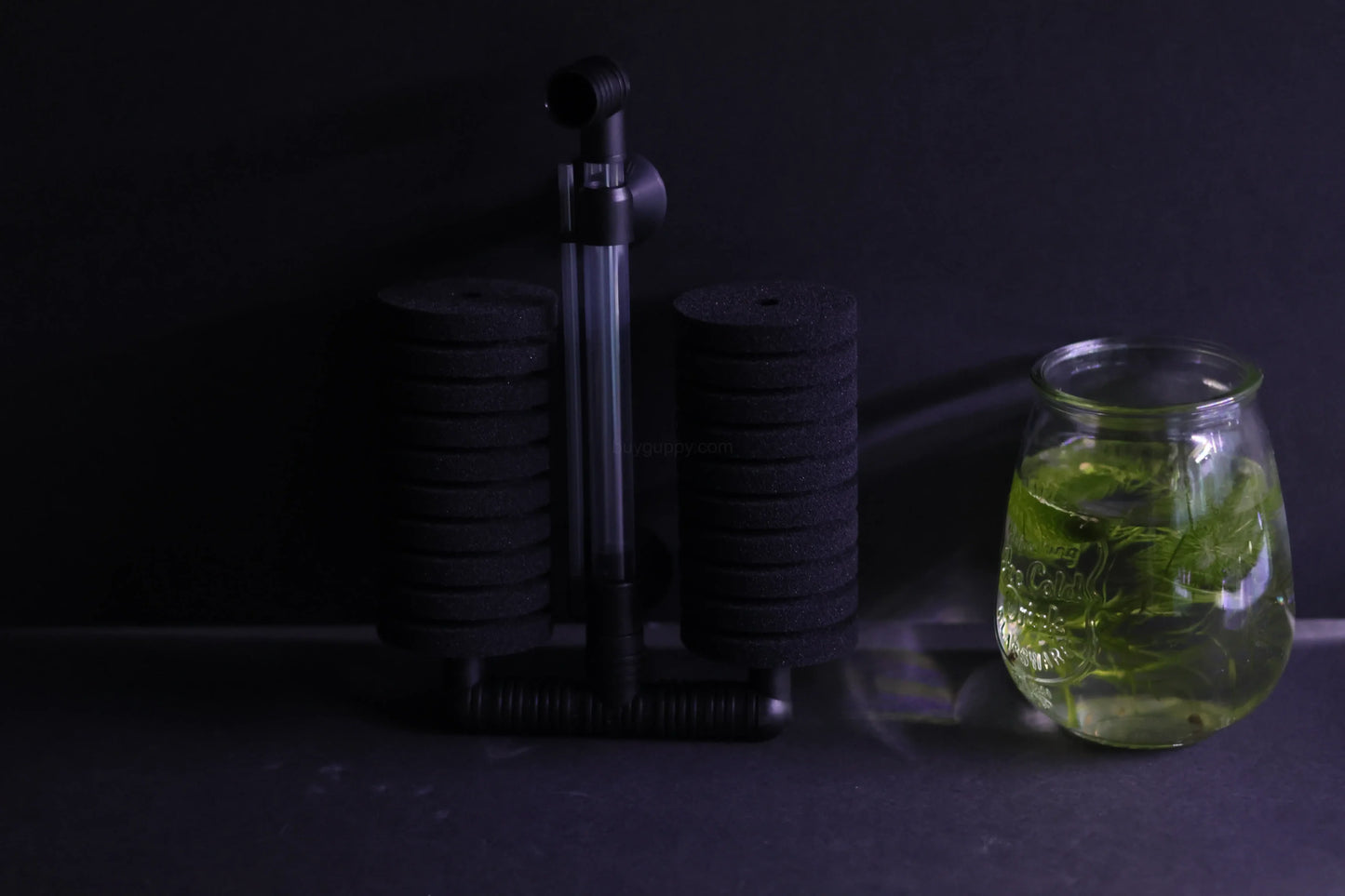 Dual Sponge Filter