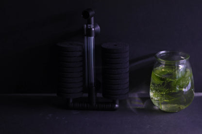 Dual Sponge Filter