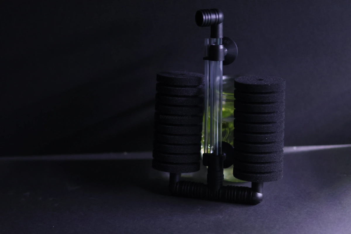 Dual Sponge Filter