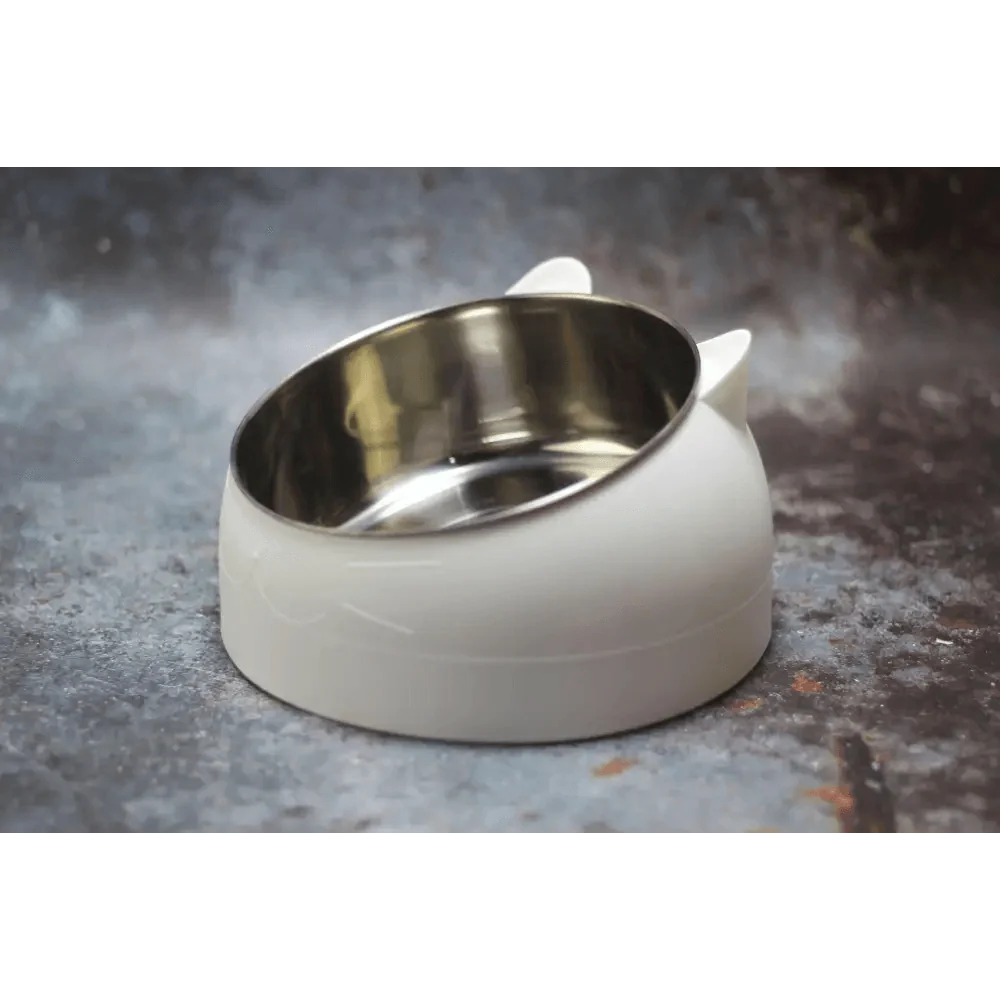 Small Pet Bowl