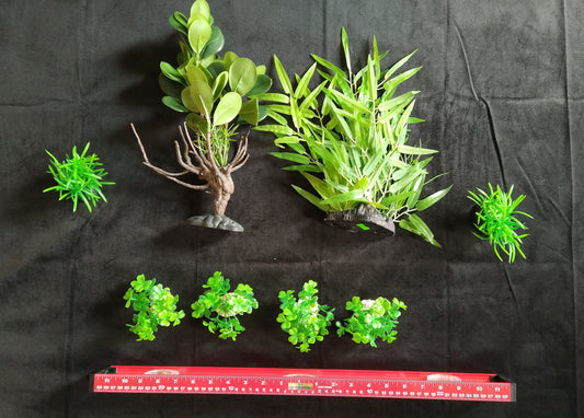 Aquarium Plant Package