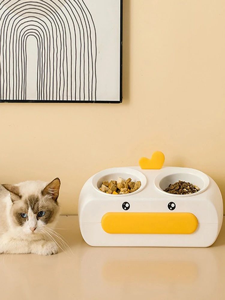 Pet Double Bowl