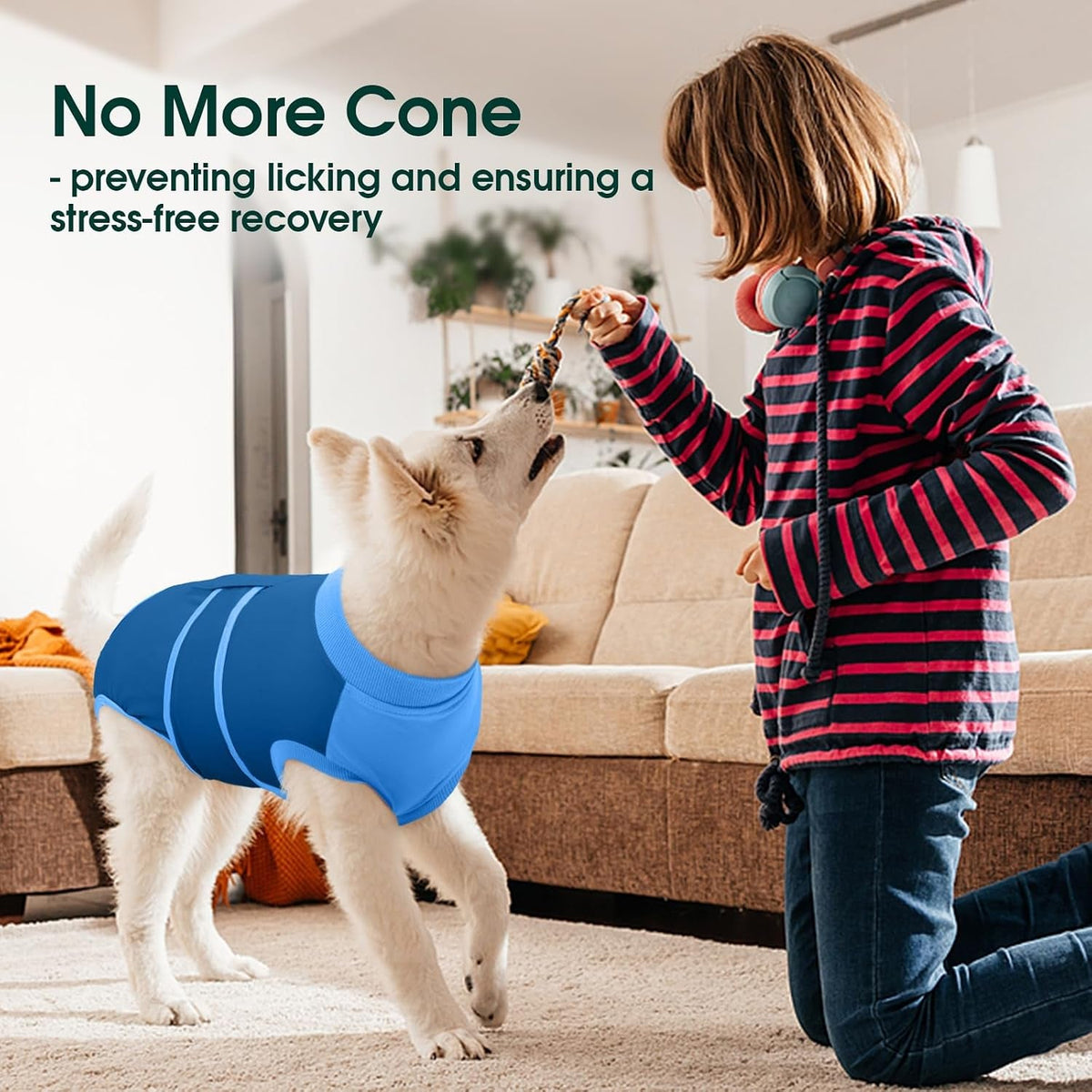 Female Dog Recovery Suit — Post-Spay & Surgery Coverage, Soft & Breathable (XS–2XL)