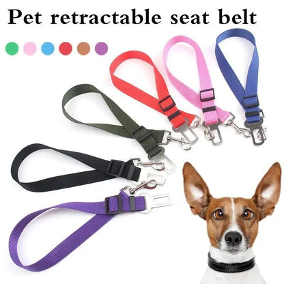 Seat Belt Harness