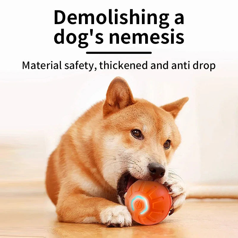 Dog Toy Ball