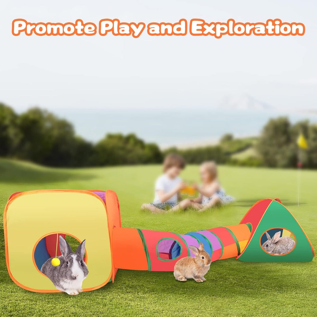 Rabbit Tunnel Toy