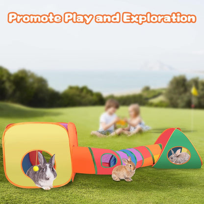 Rabbit Tunnel Toy
