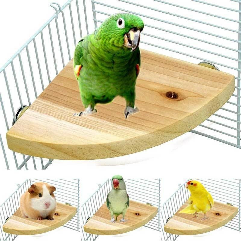 Bird Cage Accessories