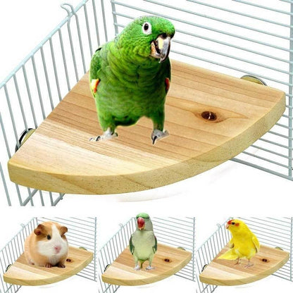 Bird Cage Accessories