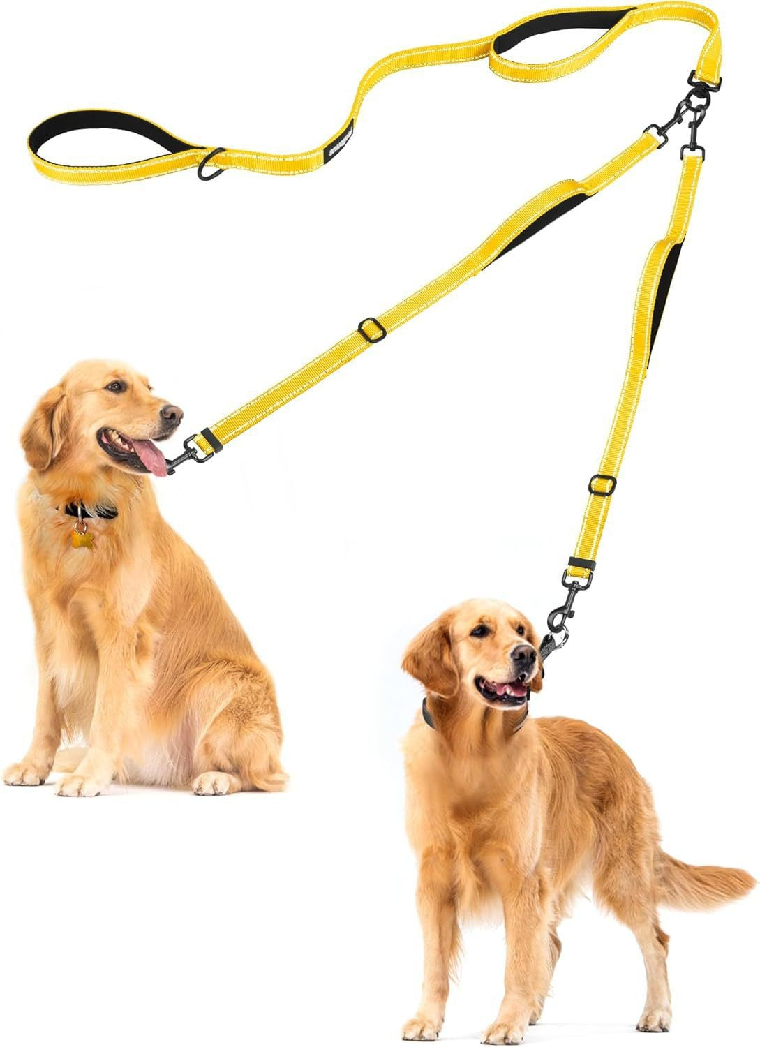 Double Leash Nylon