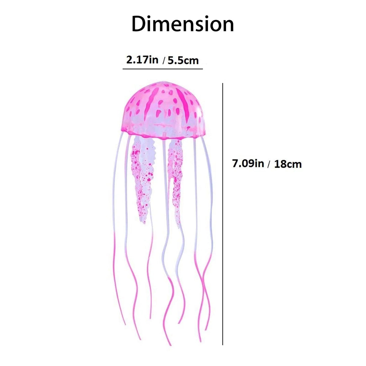 Aquarium Decorations
