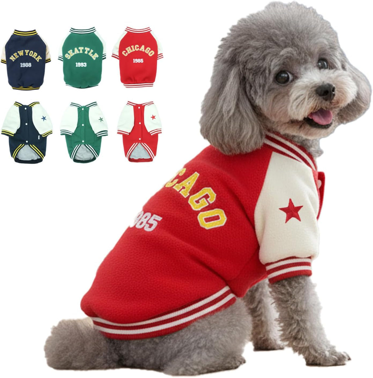 Warm Dog Varsity Jacket