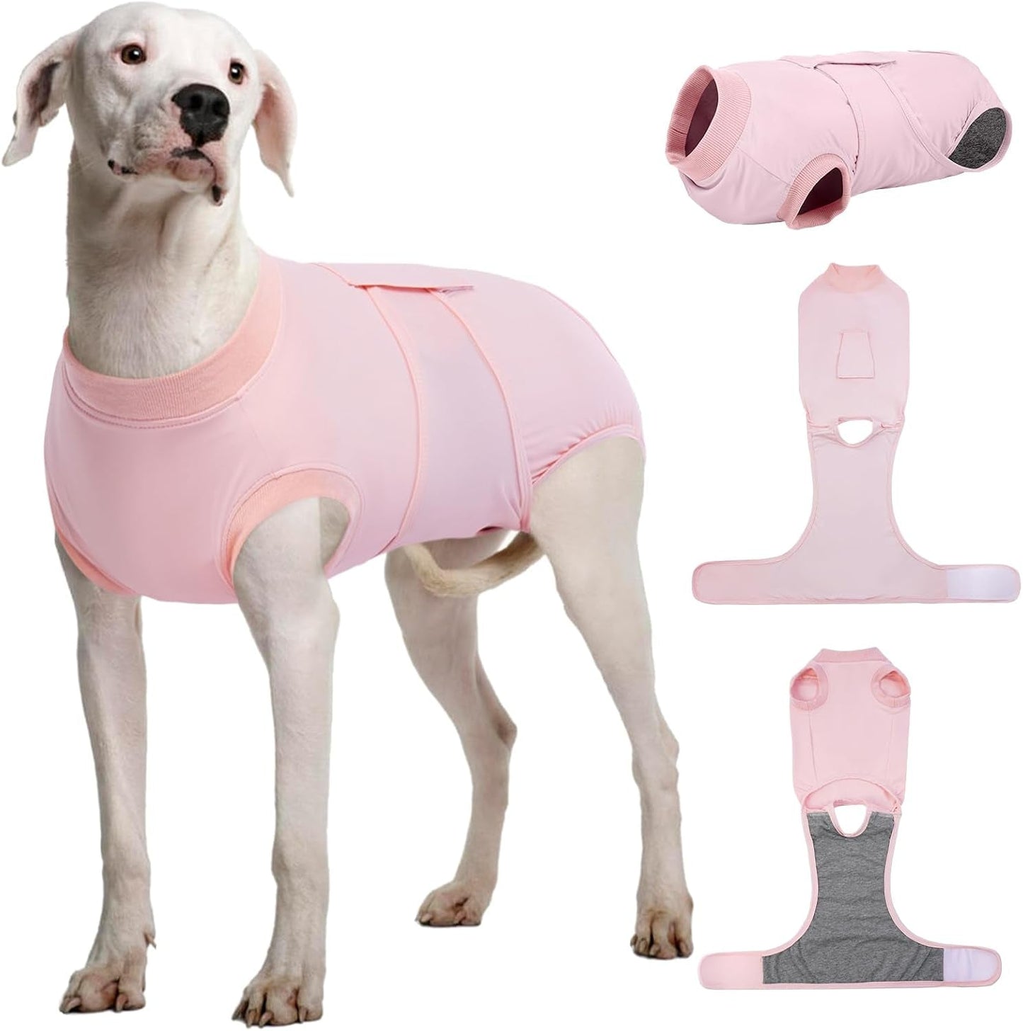 Female Dog Recovery Suit — Post-Spay & Surgery Coverage, Soft & Breathable (XS–2XL)