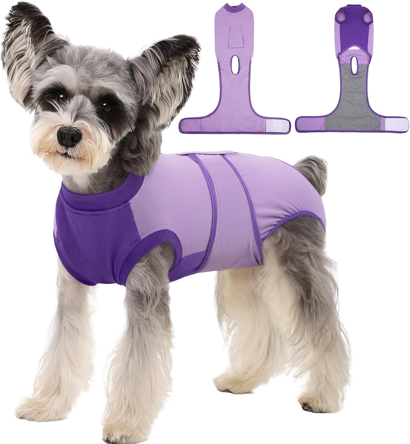 Female Dog Recovery Suit — Post-Spay & Surgery Coverage, Soft & Breathable (XS–2XL)