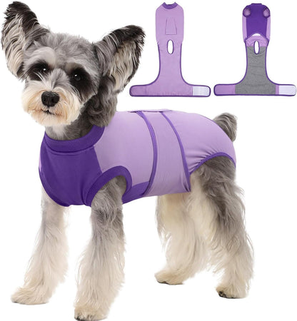 Female Dog Recovery Suit — Post-Spay & Surgery Coverage, Soft & Breathable (XS–2XL)