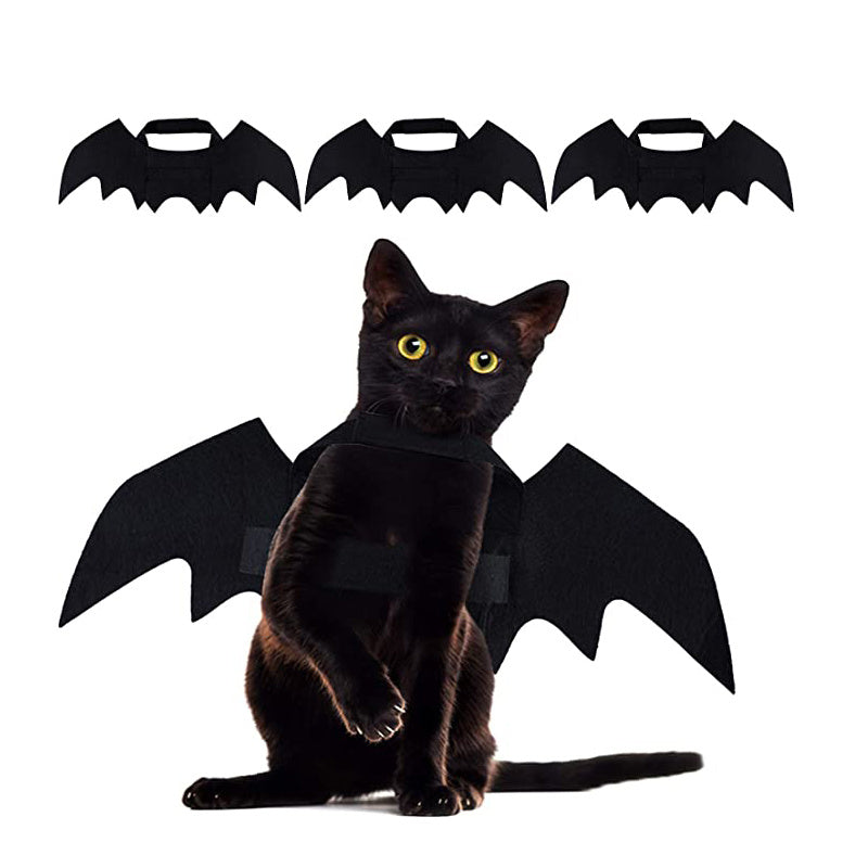Bat Cat Wings