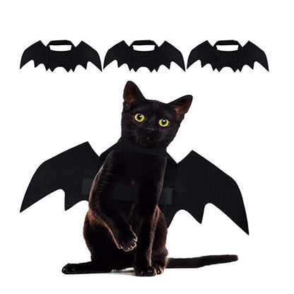 Bat Cat Wings