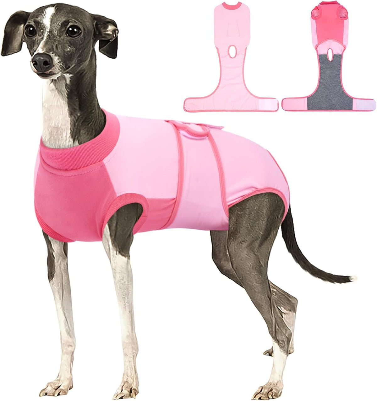 Female Dog Recovery Suit — Post-Spay & Surgery Coverage, Soft & Breathable (XS–2XL)