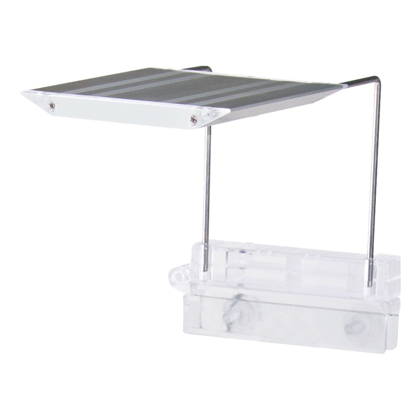 Glass Aquarium