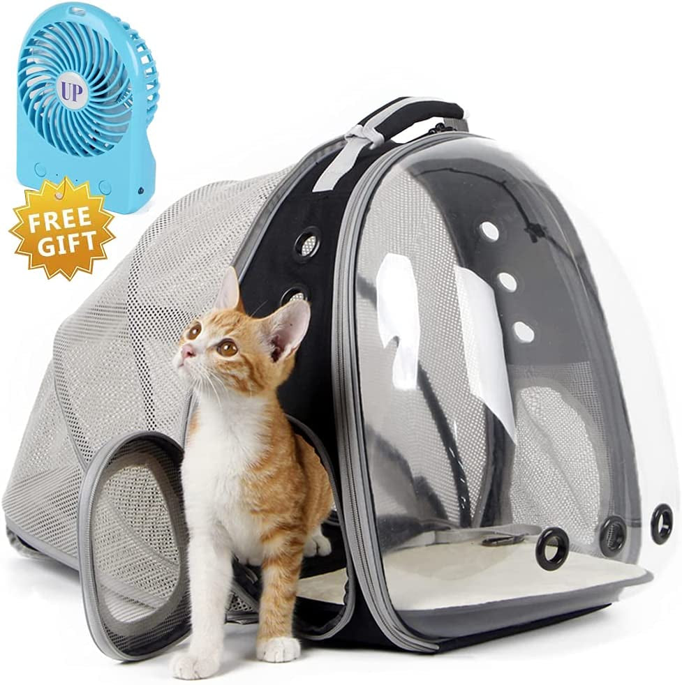 Cat Bubble Backpack