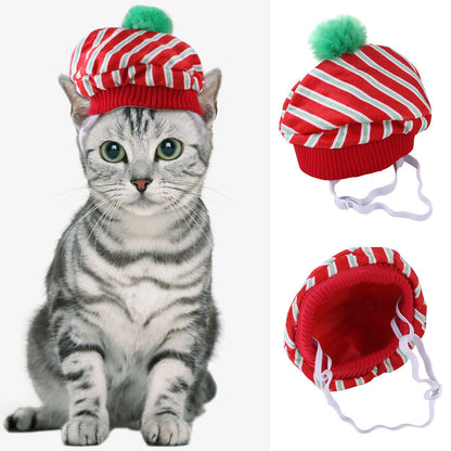 Funny Pet Costume