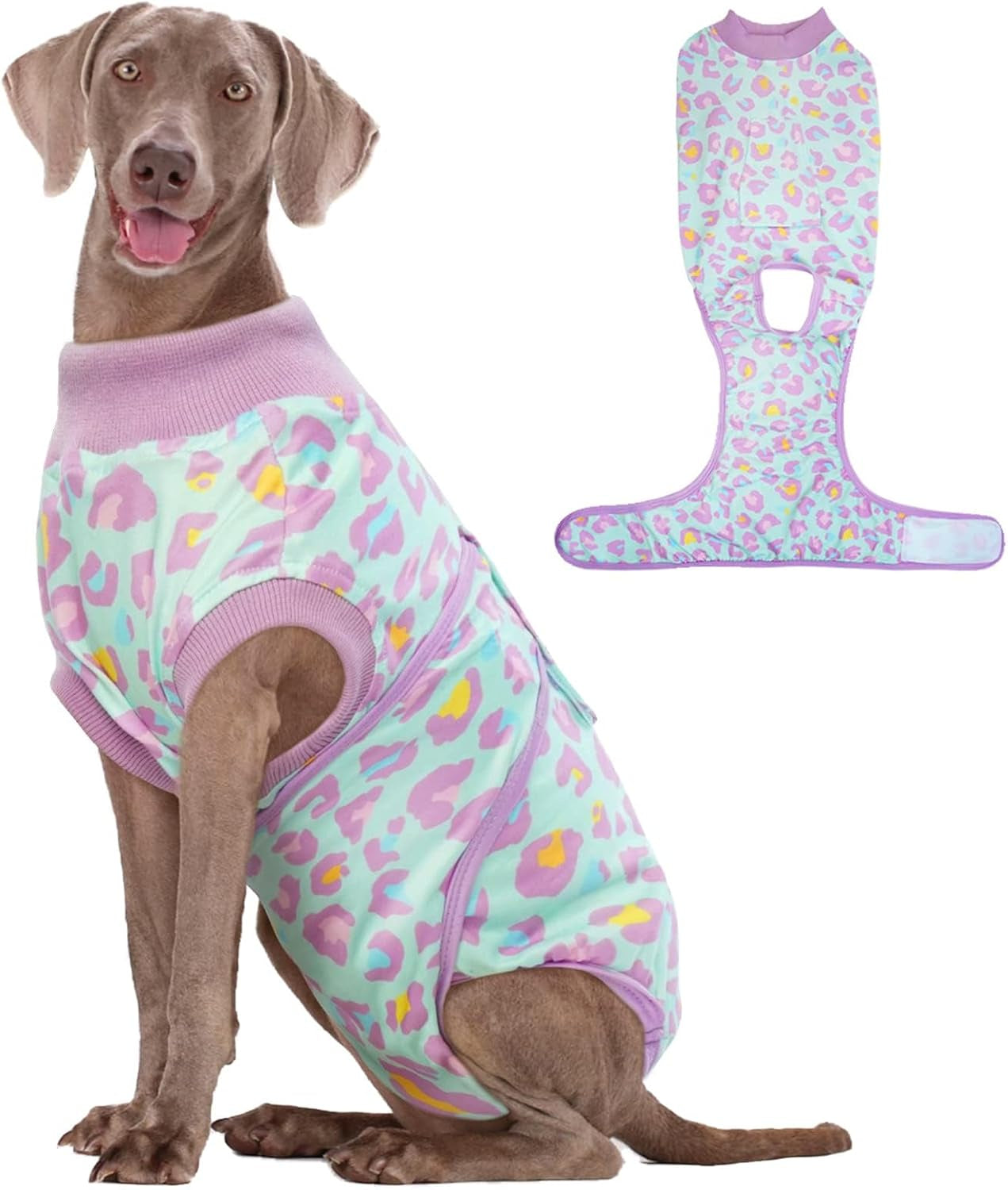 Dog Recovery Suit — Post-Surgery Coverage for Male & Female Dogs, Soft & Stretchy (XS–2XL)