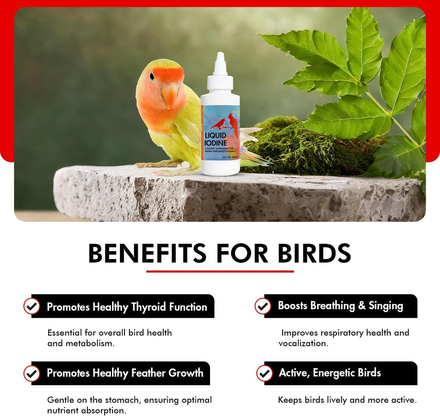 Liquid Iodine Supplement for Birds