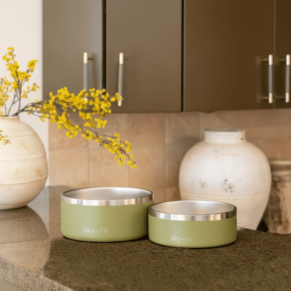 Stainless Steel Pet Bowl